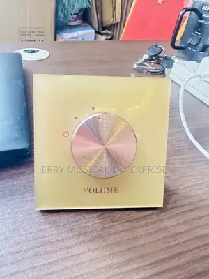 Gold Color Volume Controller