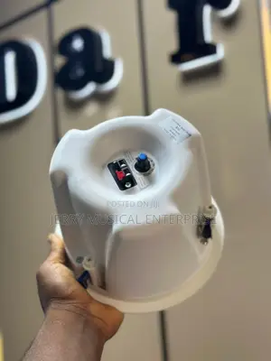 Original Bose Ceiling Speakers With Good Production