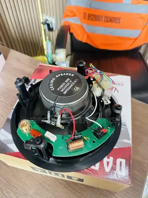 High Quality Ceiling Speakers