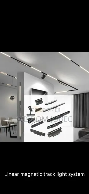 Magnetic Lights