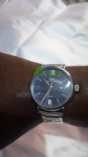 Stainless Steel Iwc