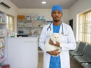 Veterinary Doctor for Your Dog and Cat
