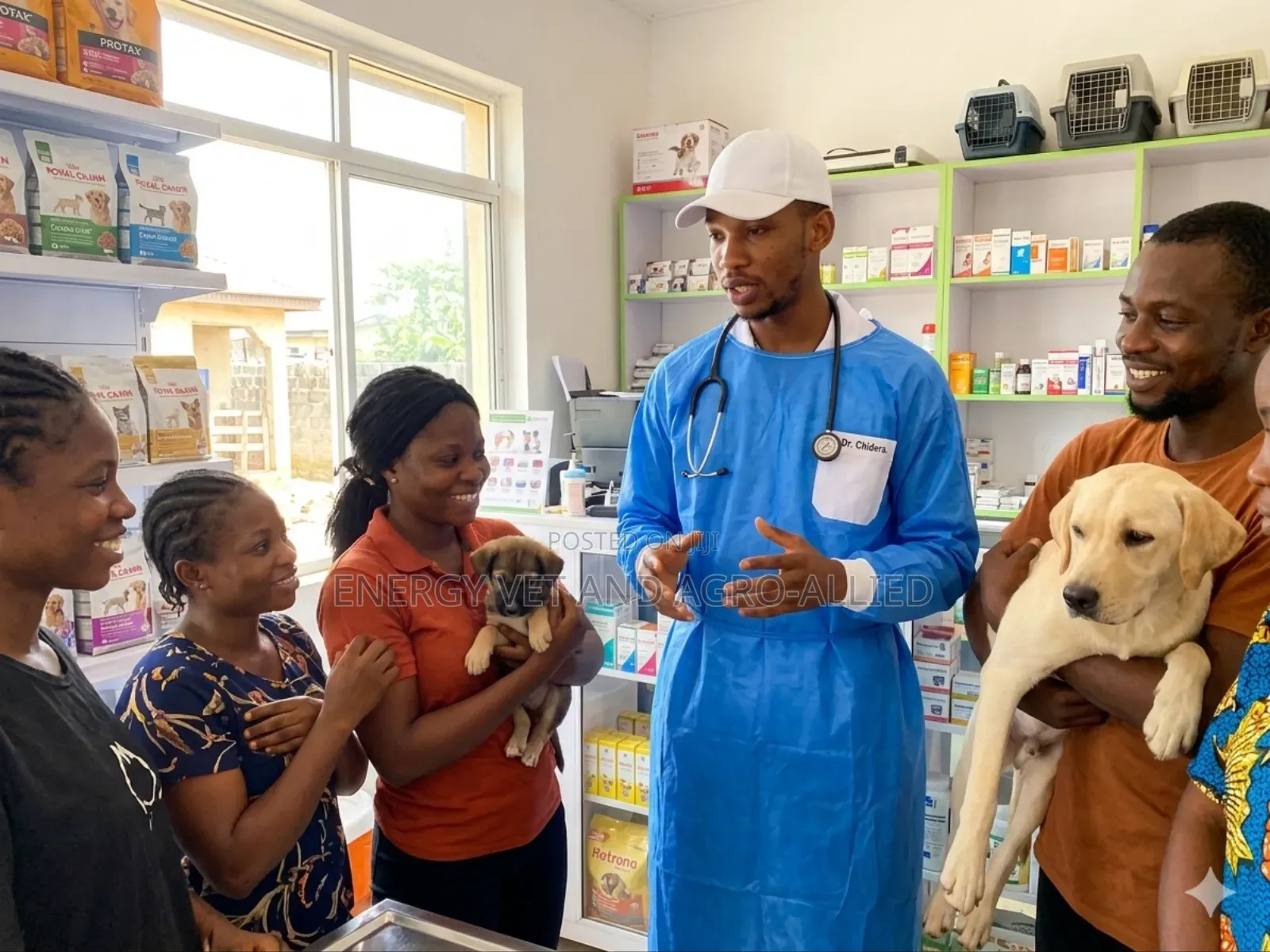 Veterinary Professional Ogba