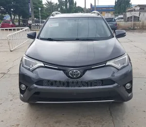 Toyota RAV4 2017 Gray