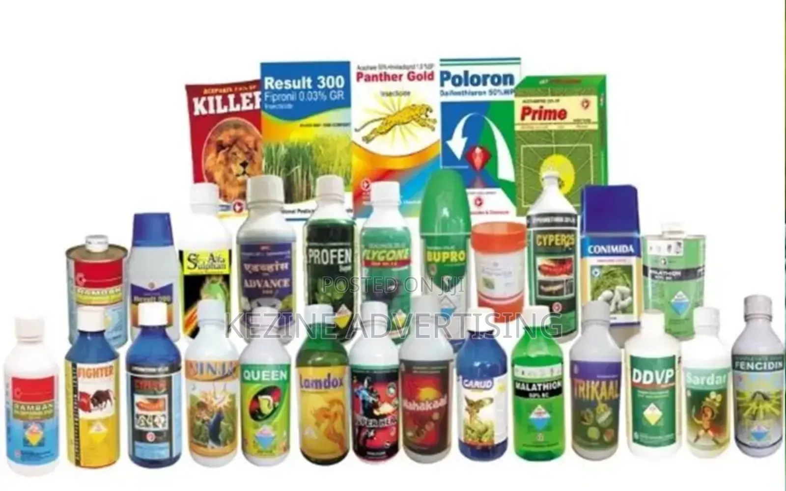Professional Fumigation Services