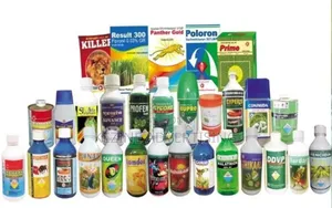 Professional Fumigation Services