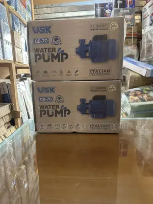 Original Usk Surface Pump 0.75hp