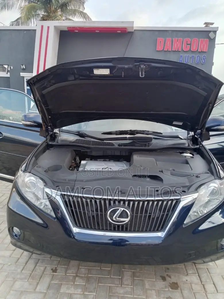 Lexus RX 2010 Blue
