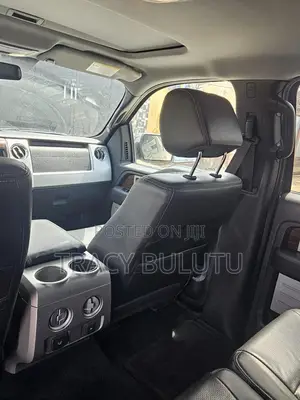 Ford F-150 2013 Gray
