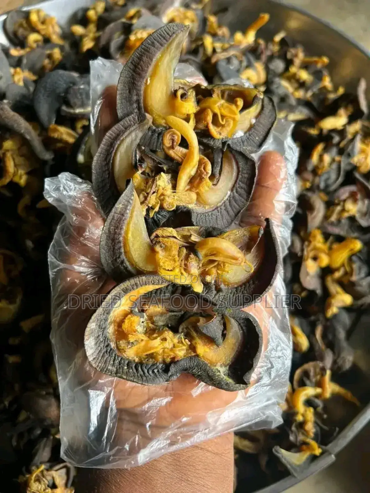 Dried and Fresh Snails