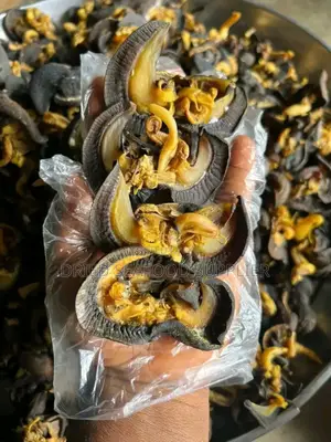 Dried and Fresh Snails