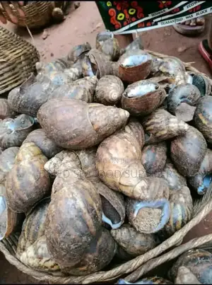 Dried and Fresh Snails