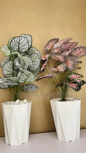 Beautiful Flower Vase