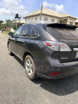 Lexus RX 350 2010 Gray