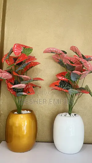 Colorful Flower Vase