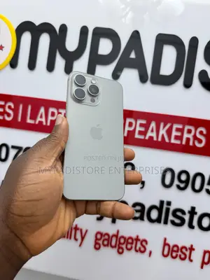 Apple iPhone 15 Pro Max 256 GB Gray