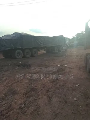 Cement Dealer