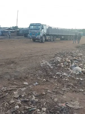 Dangote and Bua Cement