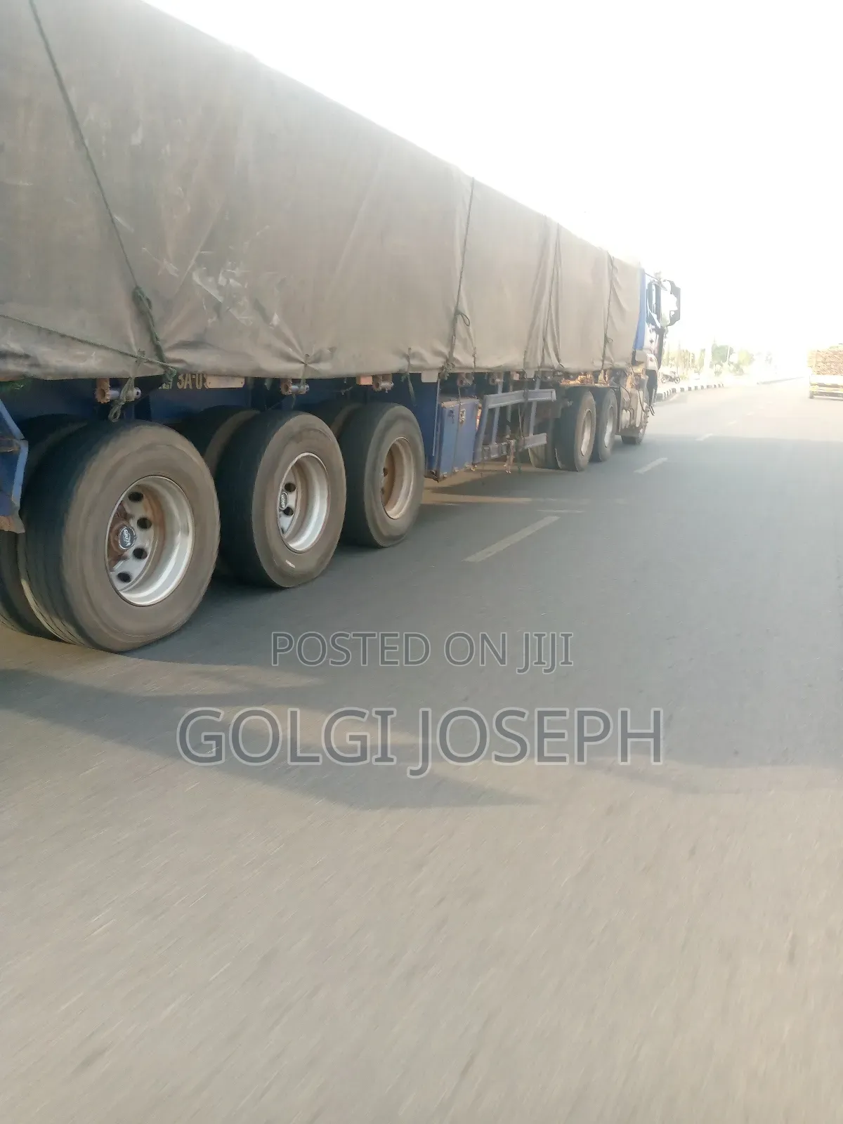 Cement Available in Tons