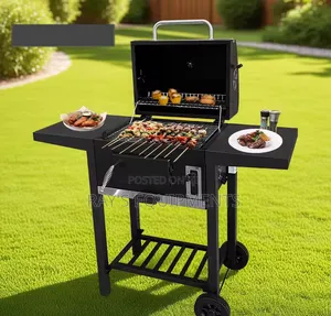 Foreign Adjustable Charcoal Barbeque Machine