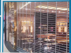 Imported Italian Design See Through Roller Shutter Door