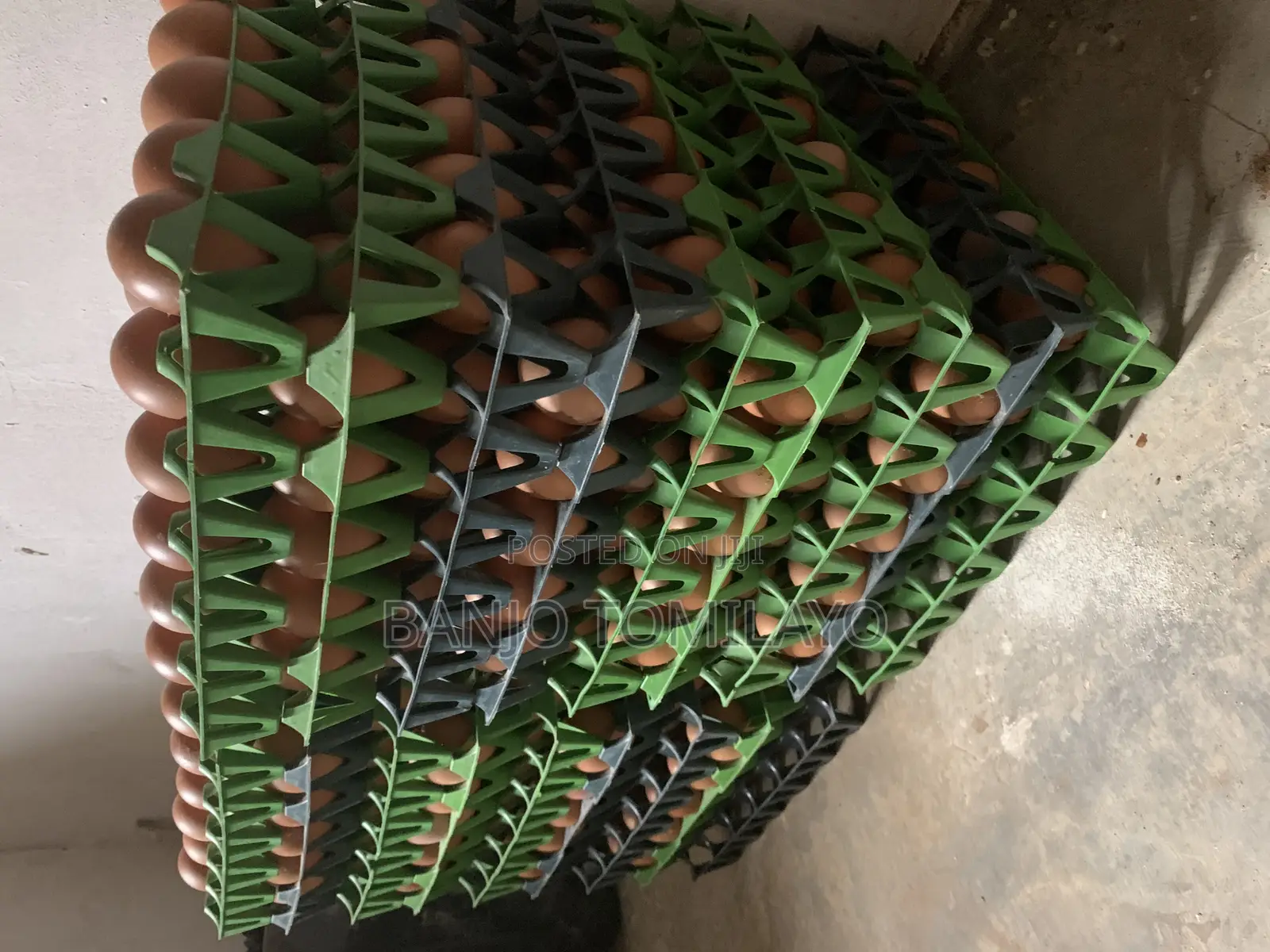 Fresh Farm Chicken Eggs Available in Akobo