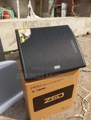 Zed Floor Monitor