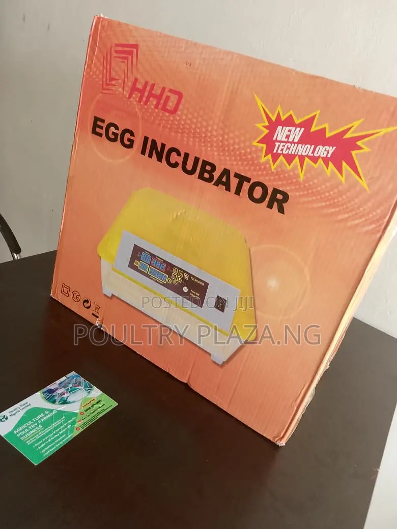 Egg Incubator