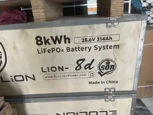 8kw/24v Ecolion Lithium Battery