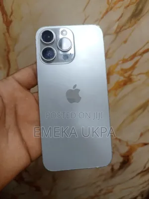 Apple iPhone 15 Pro Max 256 GB Silver