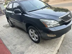 Lexus RX 330 2006 Gray