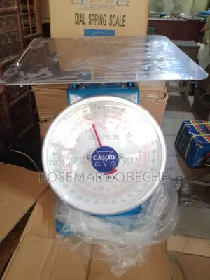 100kg Analog Scale