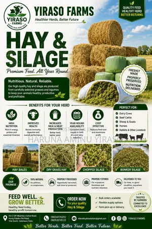 Hay Silage for Sale