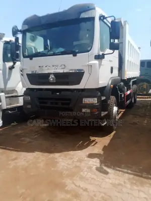 10tyres Brand New Howo Dump Truck, Tx 371.