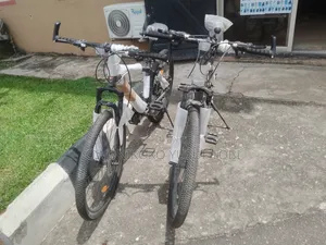 Mountain Bicycle