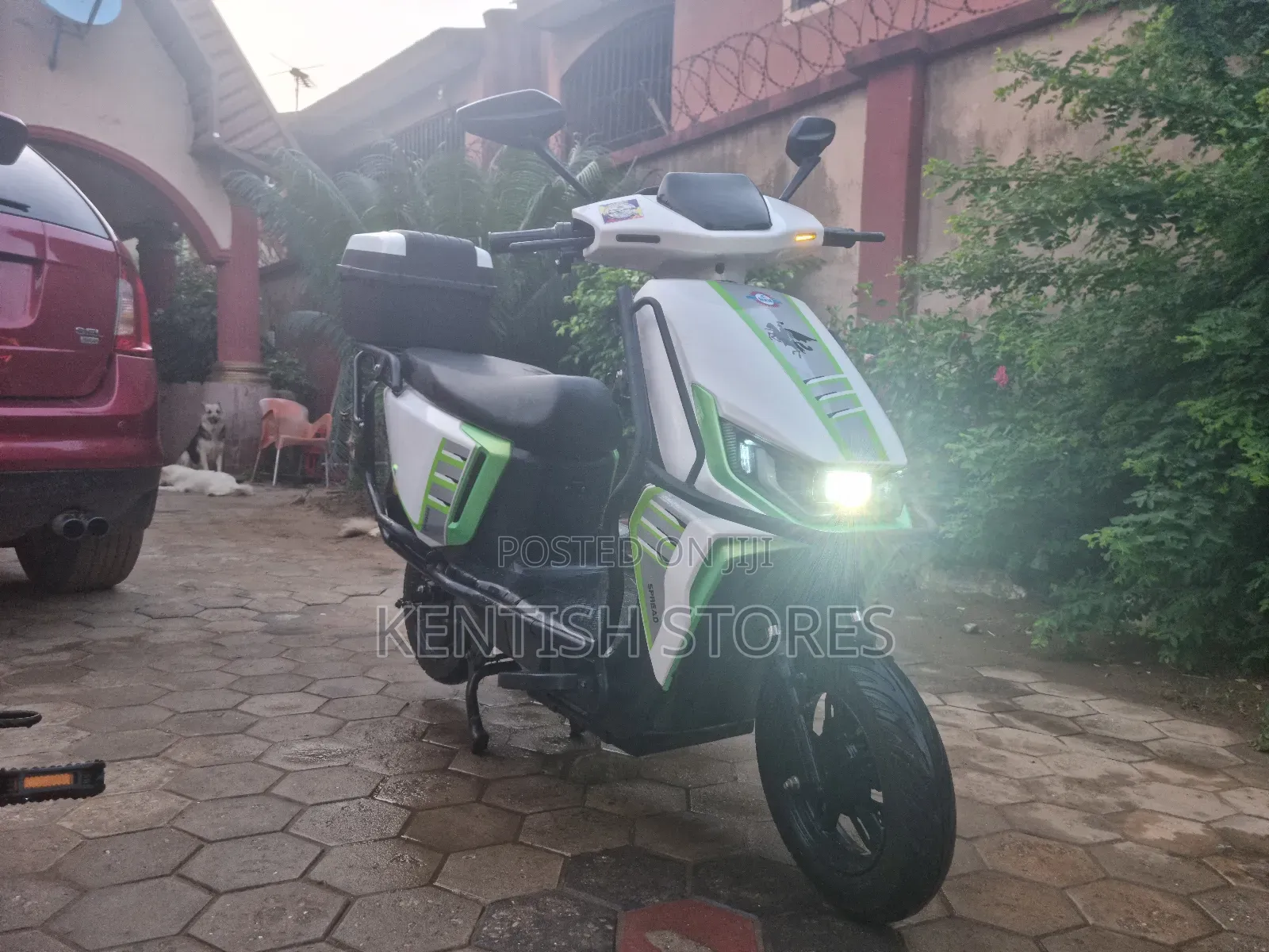 Honda 2025 White
