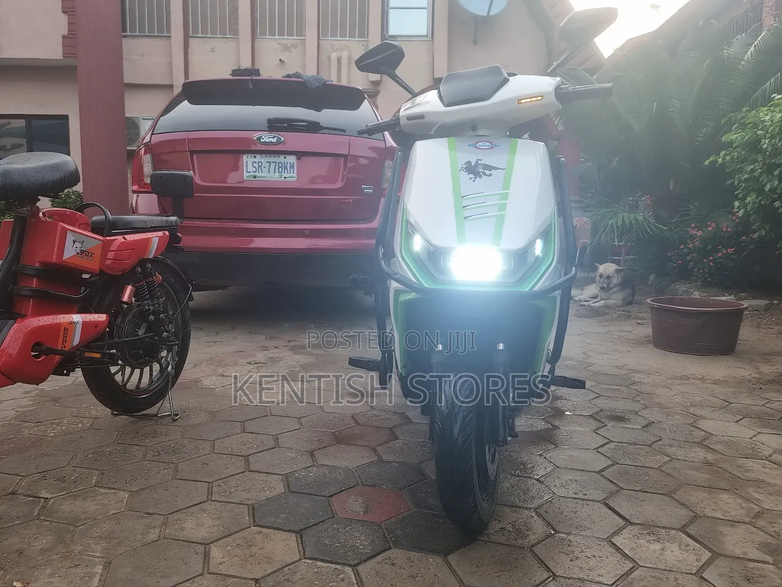 Honda 2025 White