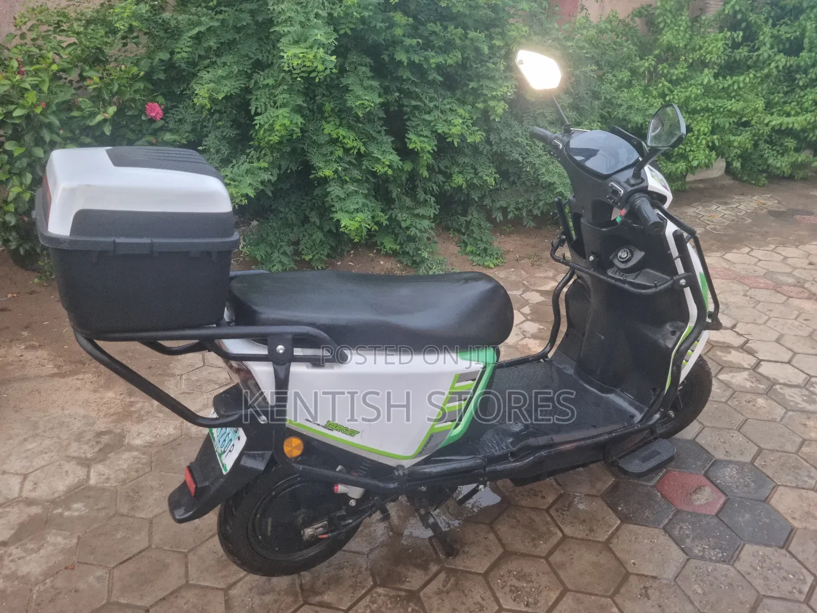 Honda 2025 White