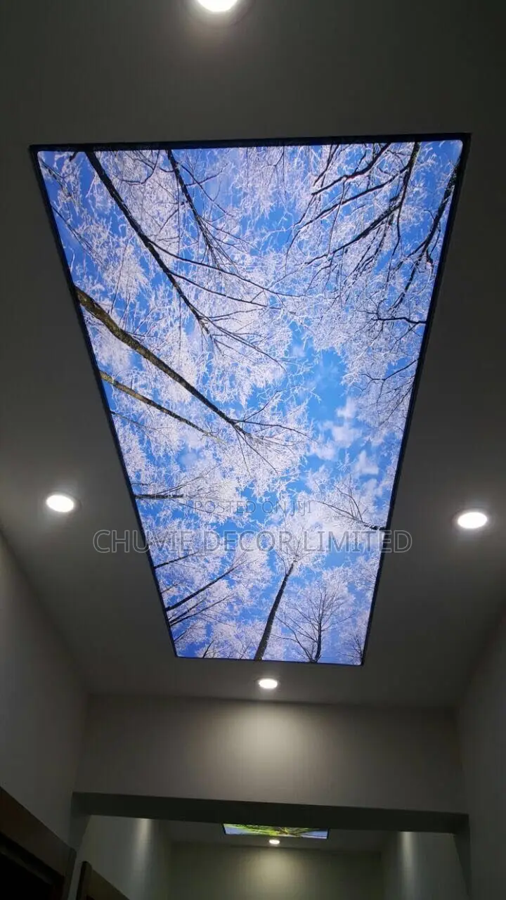 Strech Ceiling