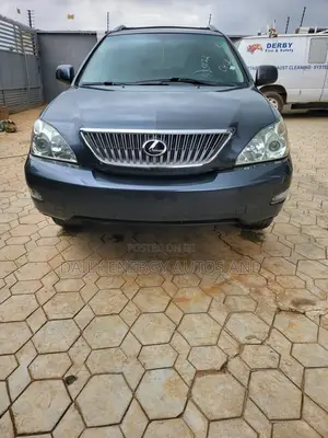 Lexus RX 2009 Gray
