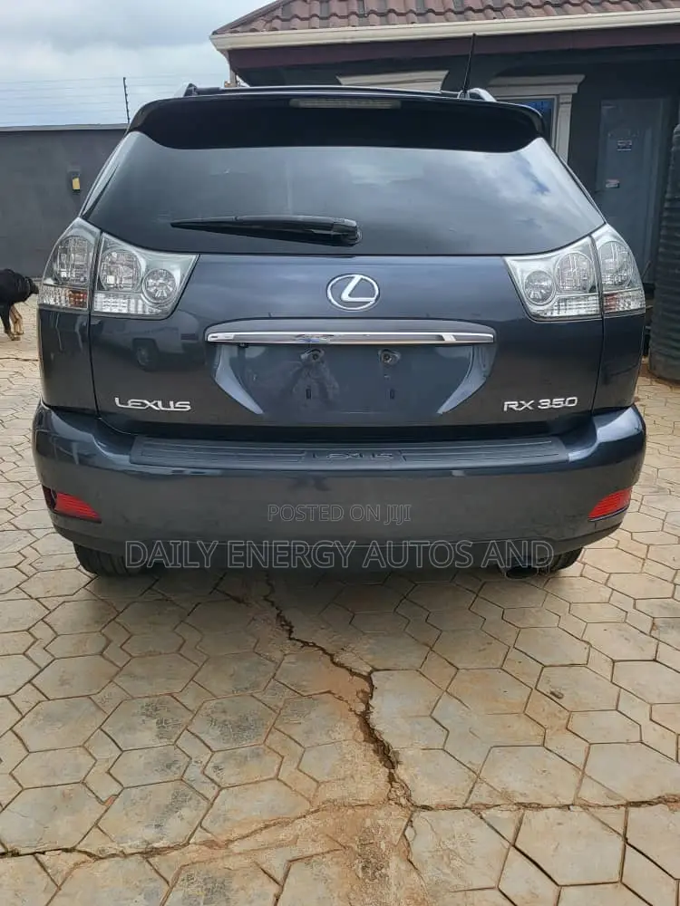 Lexus RX 2009 Gray