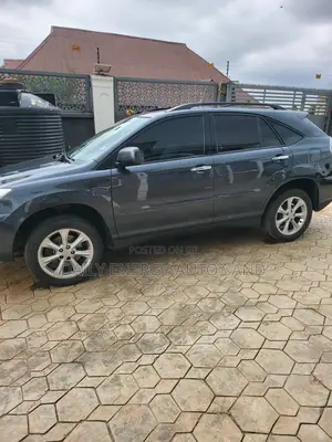 Lexus RX 2009 Gray