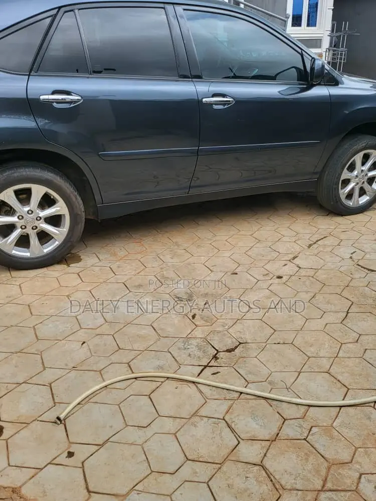 Lexus RX 2009 Gray