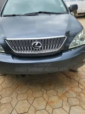 Lexus RX 2009 Gray
