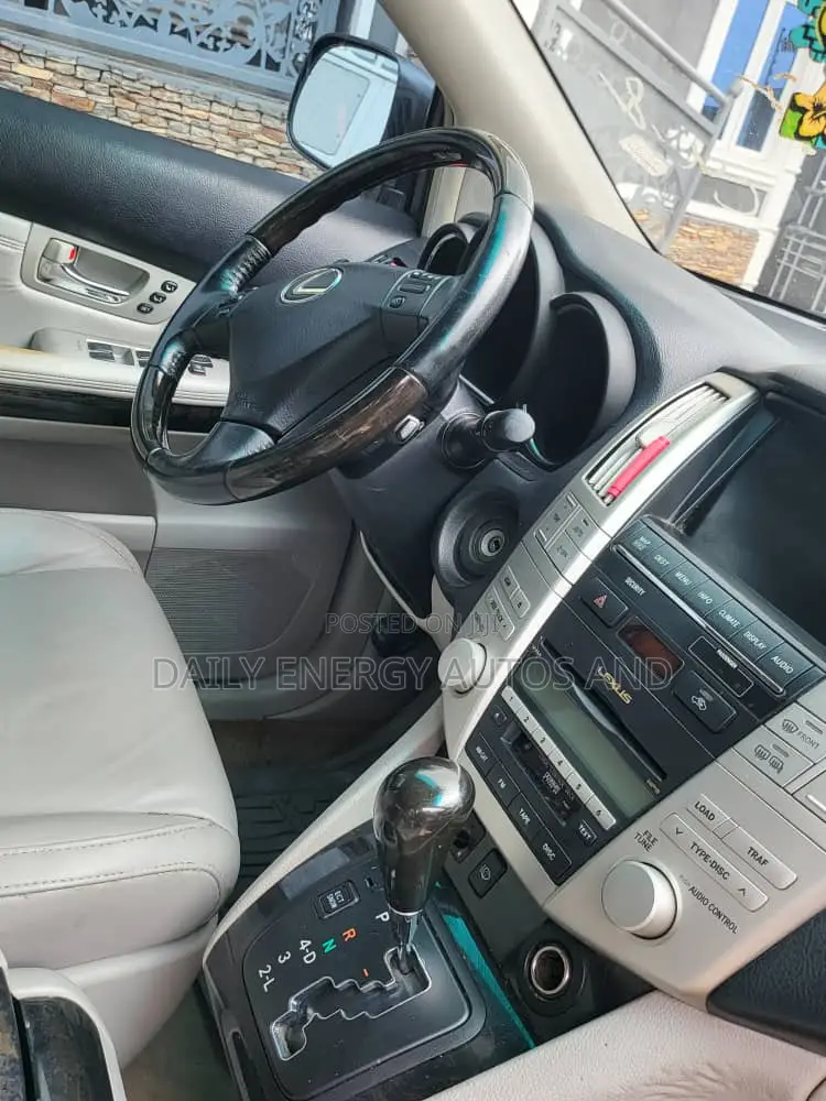 Lexus RX 2009 Gray