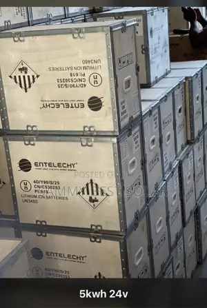 Entelechy 5kwh 24v Lithium Ion Battery
