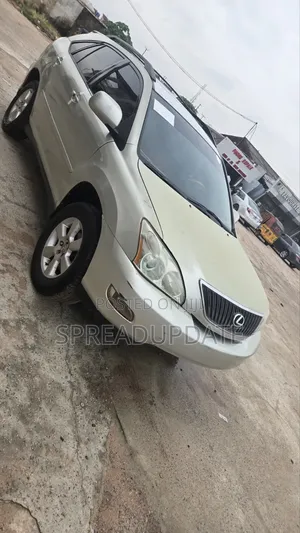 Lexus RX 2006 Silver