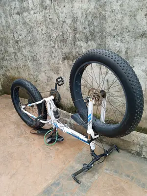 Strong Big Wheel Bike for Adults