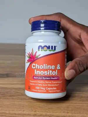 Now Choline Inositol 500mg 100 Caps | Brain Liver Support | Lagos