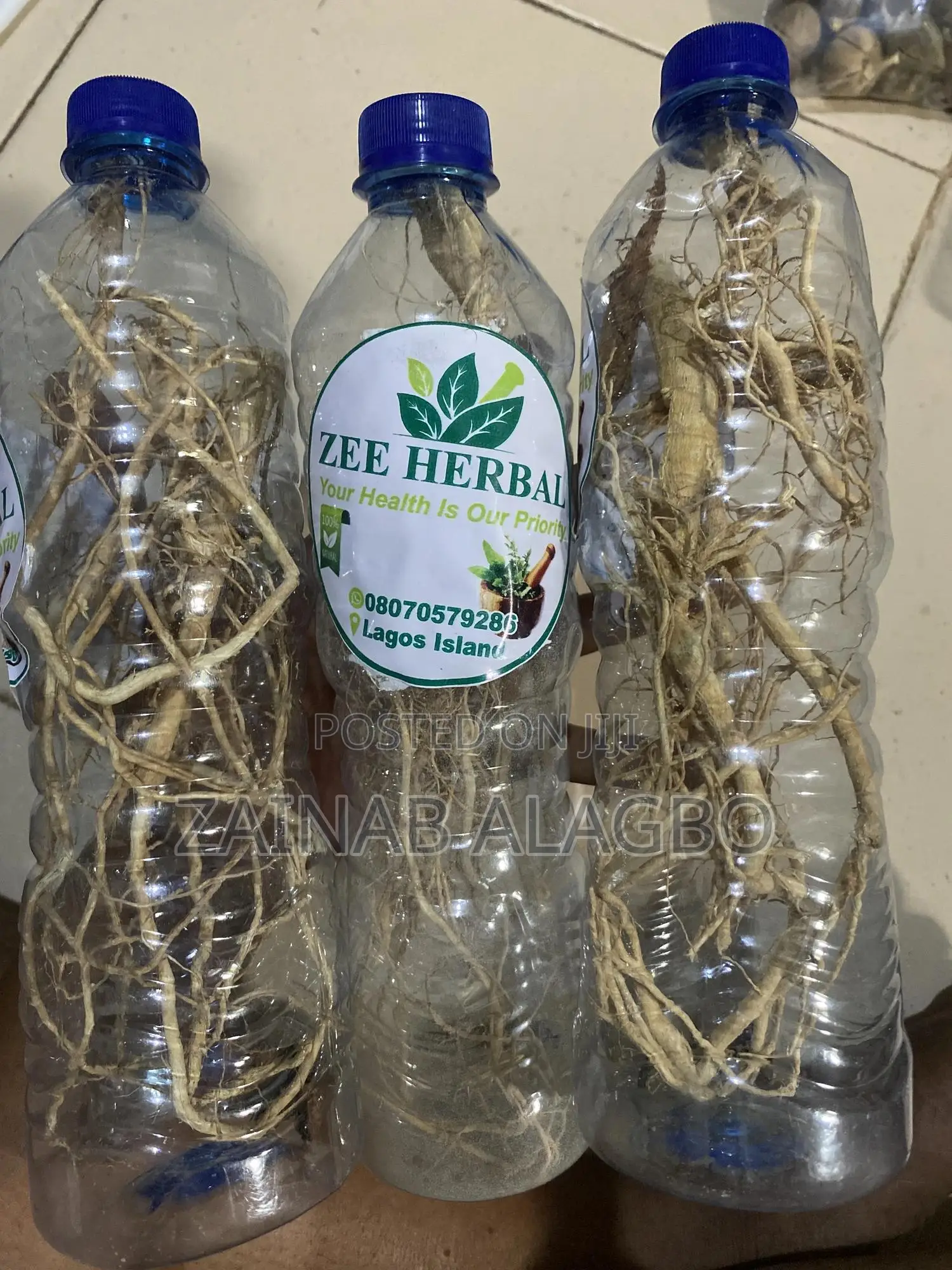 Ginseng Root
